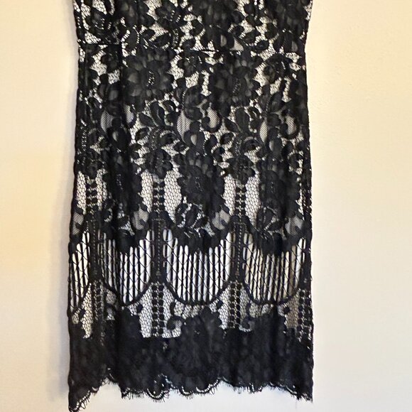 NWT MSLG Women Elegant Round Neck V-back Floral Lace Cocktail Party Dress Size L - Picture 4 of 16